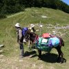 Omgeving